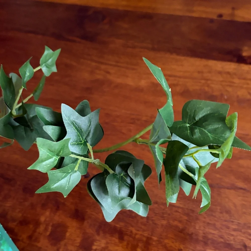 Fluker’s English Ivy Repta-Vines - Green 1 branch ideal for Terrariums.